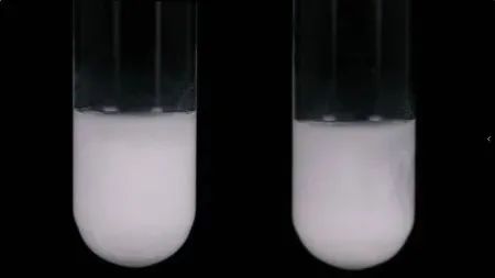 Dimethicone