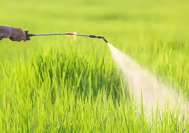 New ZG-628: Acid, Alkali, and Hydrolysis Resistant Product