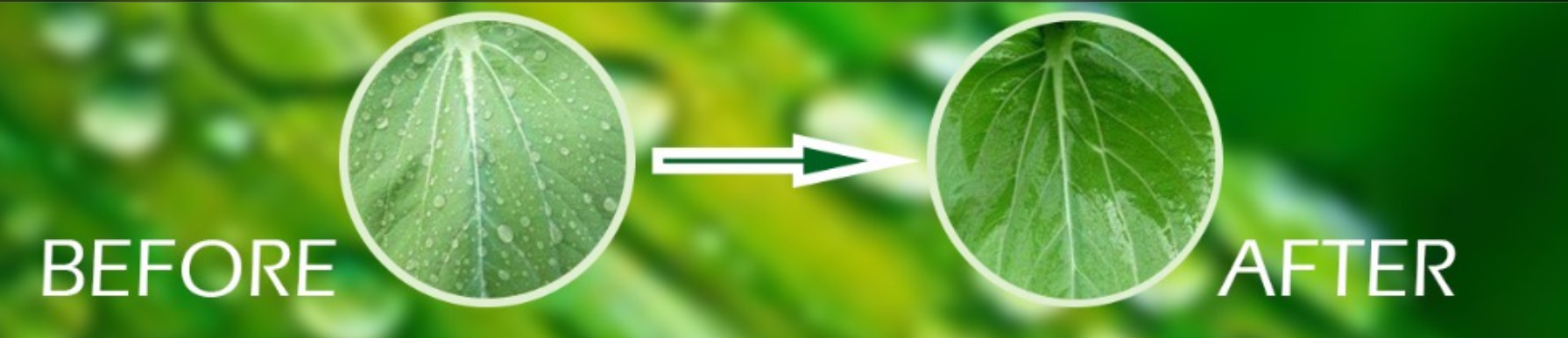  Agricultural Silicone Synergist