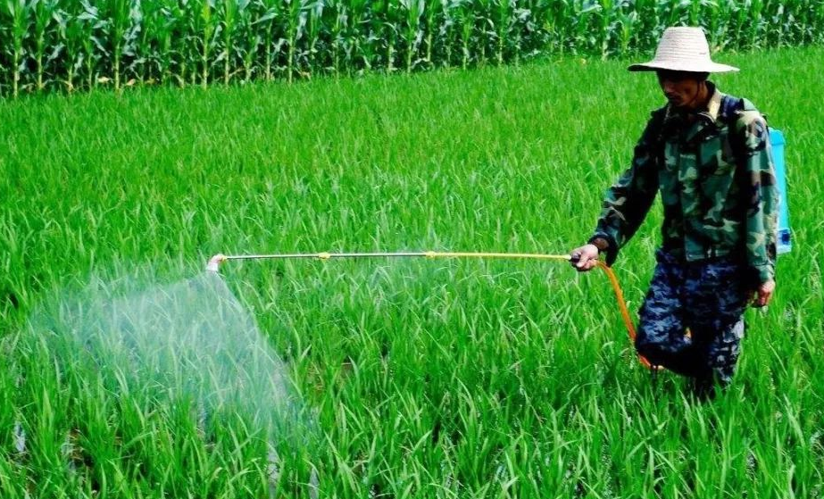 Add a few drops of agricultural silicone adjuvant to a bucket of water, and the effect will double!